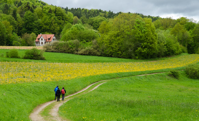 Fotoimpressionen Fränkische Schweiz: Wiesen, Felder, Wälder - und wir Wanderer mittendrin. (Foto: Andreas Jeitler)