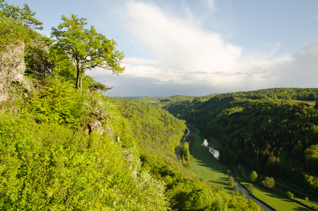 Fotoimpressionen Fränkische Schweiz: ... und genießen die Aussicht ins Wiesenttal. (Foto: Andreas Jeitler)