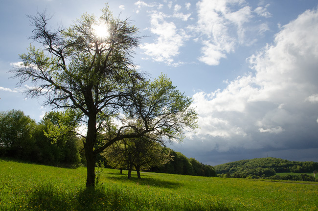 Fotoimpressionen Fränkische Schweiz: Schöne Lichtstimmung bei Engelhardsberg. (Foto: Andreas Jeitler)