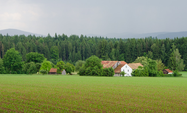 Wechselspiel von Sonne und Regen. (Foto: Christof Herrmann, 2012)