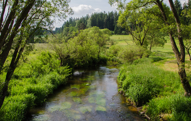 Die pittoreske Pfreimd bei Pfrentsch. (Foto: Christof Herrmann, 2012)