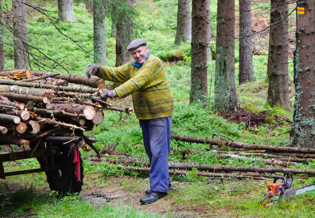 Wo es viel Wald gibt, gibt es auch viele Waldarbeiter. (Foto: Christof Herrmann, 2012)