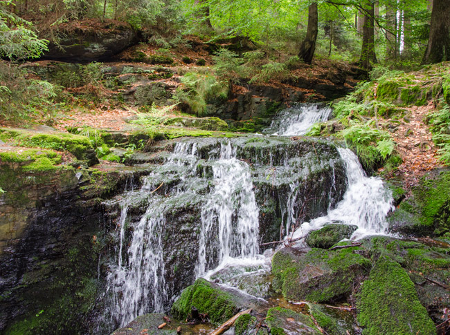 Unzählige Bäche rauschen durch den Oberpfälzer Wald. (Foto: Christof Herrmann, 2012)