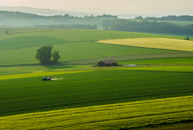 Vom Grenzlandturm bei Neualbenreuth genießt man einen weiten Blick ins Stiftland und Egerland. (Foto: Christof Herrmann, 2012)