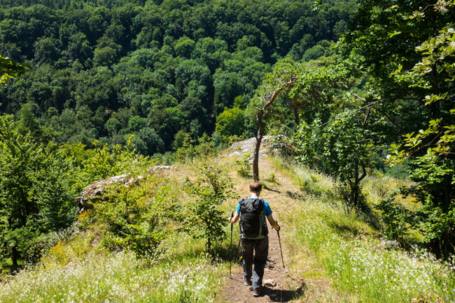 Natur pur in der Hersbrucker Schweiz. (Foto: Christof Herrmann, 2013)