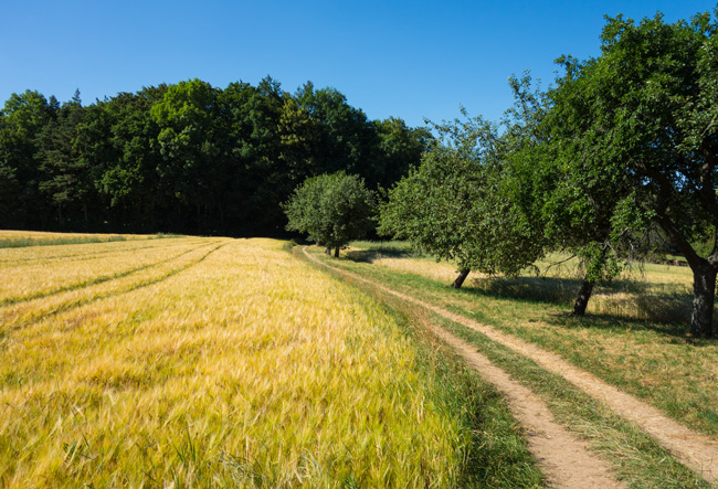 Felder und Wälder. (Foto: Christof Herrmann, 2013)