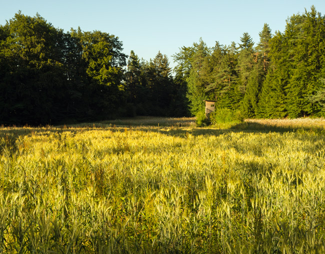 Ein unvergesslicher Wandertag neigt sich dem Ende zu. (Foto: Christof Herrmann, 2013)