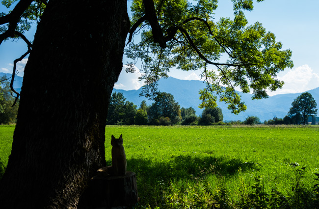 Kaiserwetter im bayerischen Alpenvorland (Foto: Christof Herrmann, 2013)