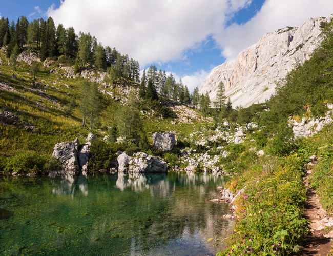 Alpenüberquerung Salzburg-Triest 2014 - Foto: Das Sieben-Seen-Tal in den Julischen Alpen begeistert mit seiner alpinen Tier- und Pflanzenwelt.