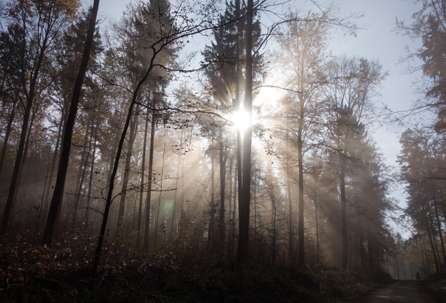 Mit dem Fahrrad durch Nordbayern: Angesichts der unvergesslichen Herbststimmung … (Foto: Christof Herrmann, 2014)