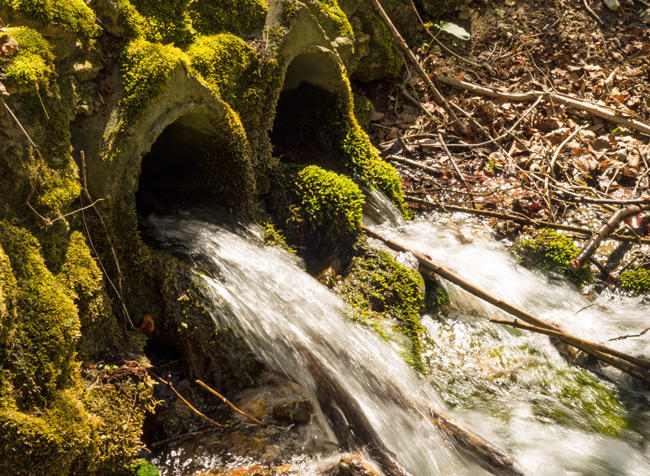 Am Moritzbach rauscht das Wasser durch bemooste Rohre. (Foto: Christof Herrmann) Kirschblütenwanderung zum Walberla: Am Moritzbach rauscht das Wasser durch bemooste Rohre.