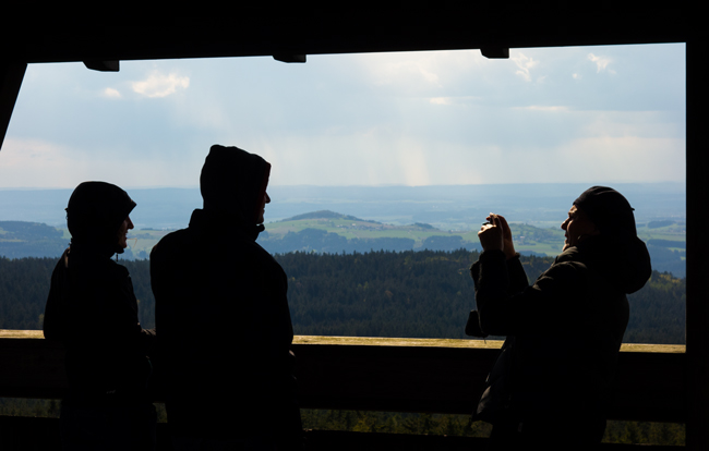 … den Steinwald … (Foto: Christof Herrmann, 2014) … den Steinwald …