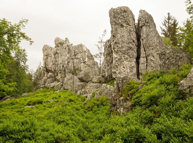 Immer wieder wandern wir am Pfahl entlang, einem 150 km langen und 10 bis 40 m hohen Quarzfelsenzug durch den Bayerischen Wald.