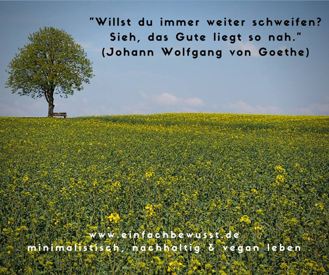 (Johann Wolfgang von Goethe). 