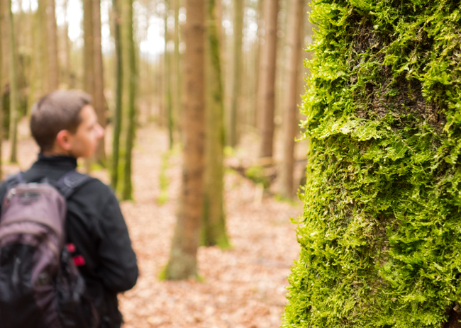 Der Karstkundliche Wanderpfad: Ohne Moos nix los.