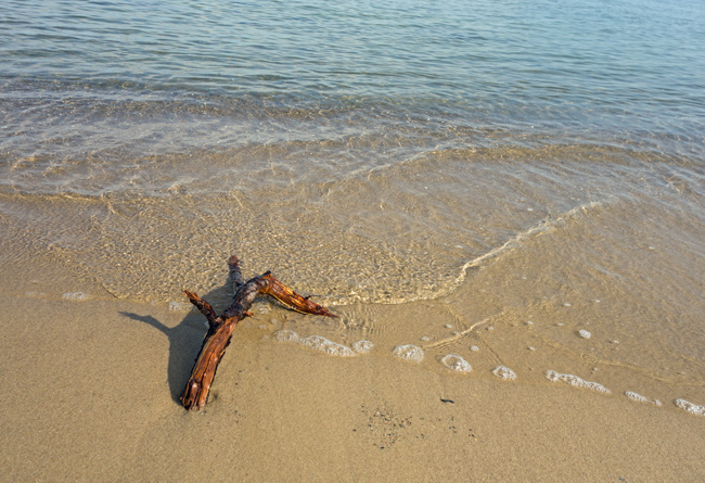 Strandgut, alles gut. (Foto: Christof Herrmann, 2017) Entschleunigen auf Usedom: Strandgut, alles gut.