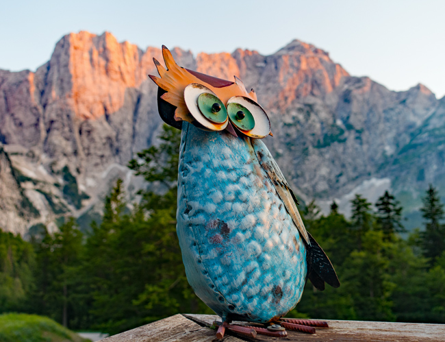 Meine Alpenüberquerung von Salzburg nach Triest 2019: "Eule ohne Eile auf dem Rifugio Zacchi."