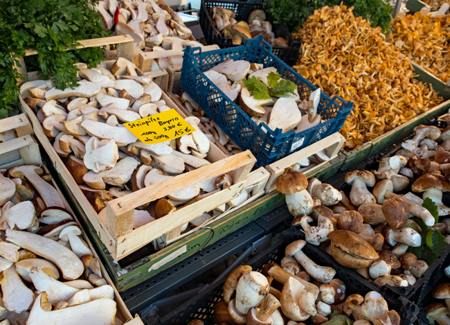 Pilzstand auf dem Hauptmarkt in Nürnberg (Foto: Christof Herrmann, 2019)