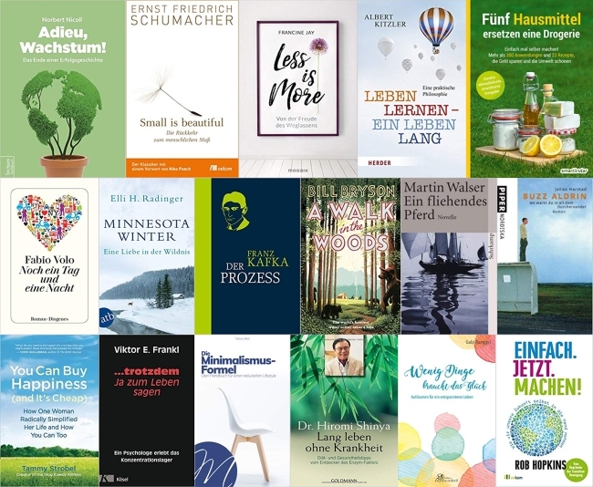 Die 17 Bücher, die ich 2019 gelesen und mit 4,5 oder 5 Sternen bewertet habe.