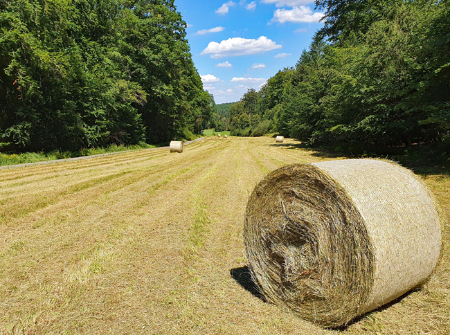 Die Heuballen müssen noch in die Scheune gebracht werden. (Foto: Christof Herrmann, 2020)