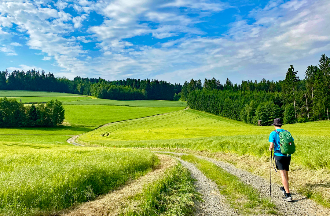 Fernwandern im Frankenwald (Foto: Viktor Garder, 2021)