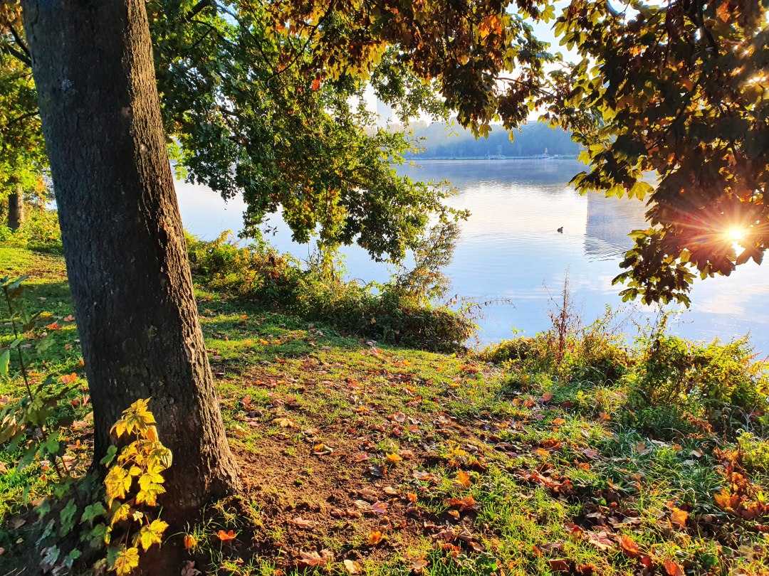 Des is fei schee am See. (Foto: Christof Herrmann, 2021)