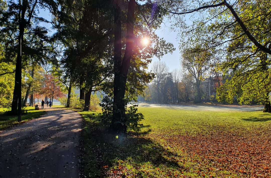 Morgentau auf der Wöhrder Wiese. (Foto: Christof Herrmann, 2020)