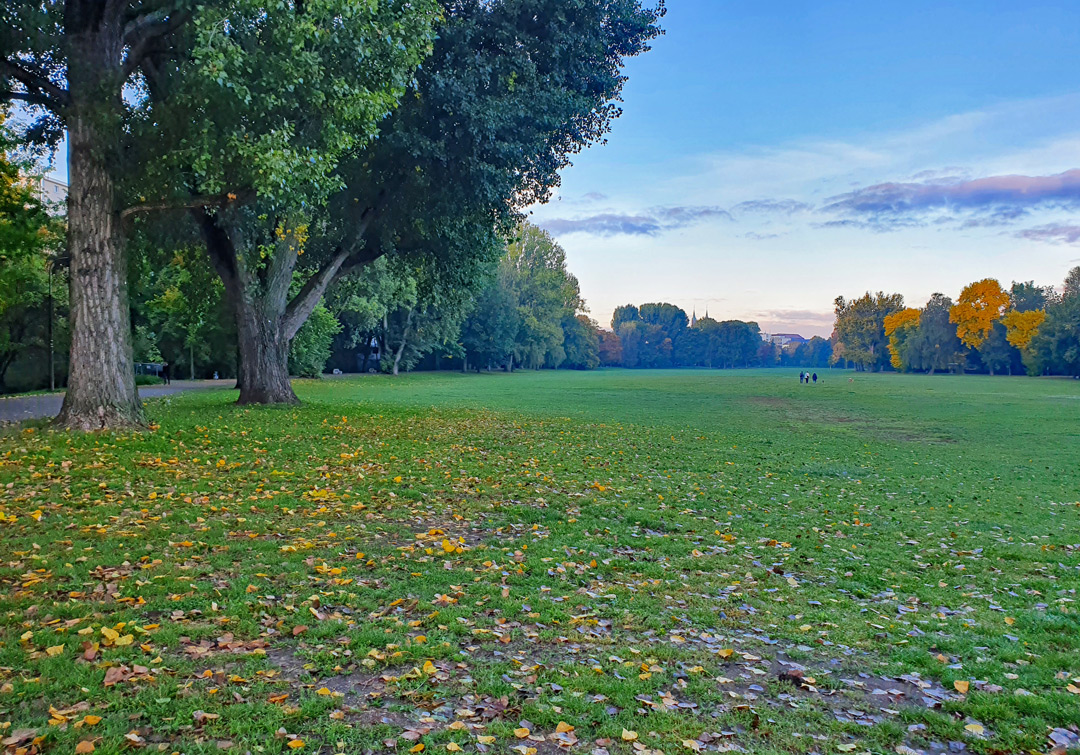 Abendlicher Blick über die Wöhrder Wiese, die Turmspitzen der Lorenzer Kirche zu erahnen. (Foto: Christof Herrmann, 2021) Abendlicher Blick über die Wöhrder Wiese, die Turmspitzen der Lorenzkirche zu erahnen. (Foto: Christof Herrmann, 2021)