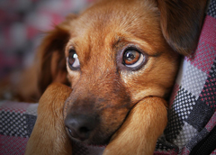 Warum Du Dich weniger entschuldigen solltest (und wie Du es schaffst)