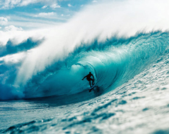 44 Zitate und Aphorismen über Leidenschaften und Passionen