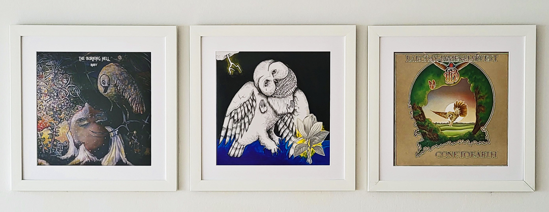 Drei Plattencover mit gezeichneten Raubvögeln als Motiv, nebeneinander in weißen Holzrahmen präsentiert.