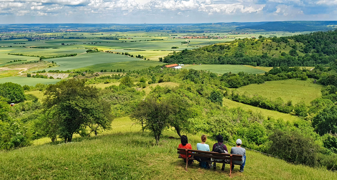 Vier Personen sitzen auf einer Holzbank und blicken über eine sommerliche Landschaft mit Bäumen und Feldern.