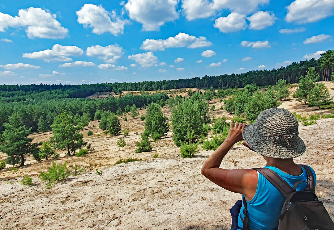 Frau mit Sonnenhut blickt von einer Anhöhe auf eine von einzelnen Kiefern bewachsene Dünenlandschaft der Sandachse Franken nahe Röthenbach bei Altdorf.