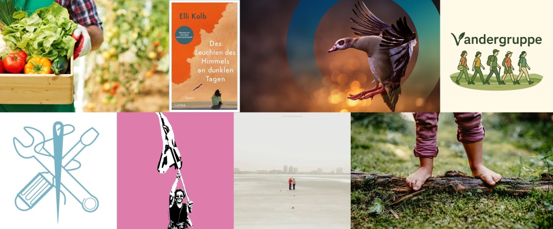 Collage mit Bildern aus den Empfehlungen: Gemüseernte, Buchcover "Das Leuchten des Himmels an dunklen Tagen", Stadtvogel, Vandergruppe, Repair-Cafés, Engagement für eine bessere Welt, Albumcover von Racing Mount Pleasant sowie Outdoor mit Kindern.