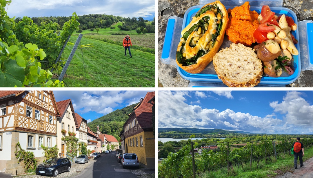 Vier Fotos einer Tageswanderung auf dem Abt-Degen-Steig bei Ebelsbach und Zeil am Main mit Weinbergen, Picknick und Ortsansichten