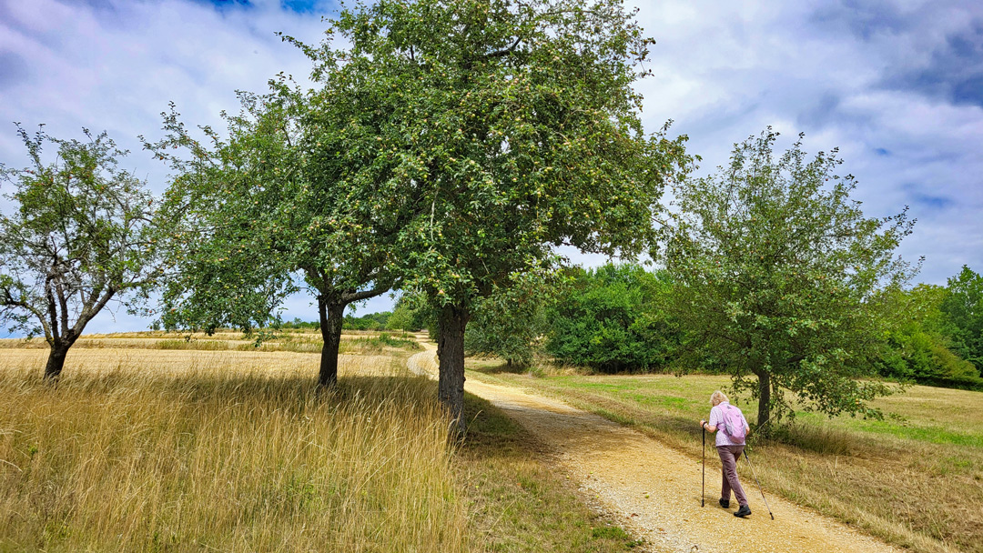 Ältere Frau mit Wanderstöcken auf einem Feldweg zwischen Bäumen und Wiesen