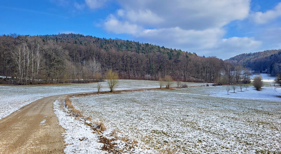 Winterliche Landschaft im Obermainland: Ein geschwungener Fahrweg führt durch verschneite Felder und Wiesen zu einem bewaldeten Hügel unter wolkigem Himmel.