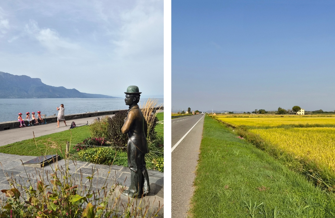 Auf der Via Francigena muss man sich auf viel Asphalt einstellen (Fotos: Christof Herrmann, 2026) Links die asphaltierte Uferpromenade am Genfersee, rechts eine Straße entlang von Reisfeldern in der Poebene auf der Via Francigena.